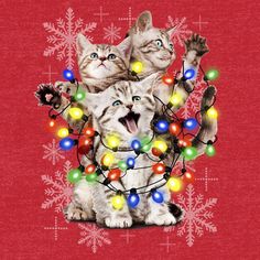 two cats are surrounded by christmas lights on a red background