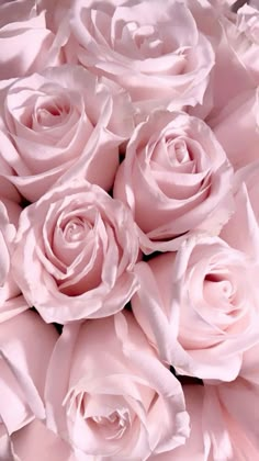 pink roses are arranged together in a bouquet