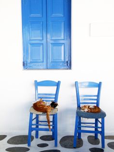 two chairs with cats sitting on them in front of a blue door and windowsill