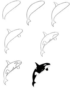 four different types of dolphins swimming in the ocean