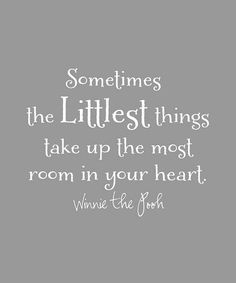 a quote that says, sometimes the littlest things take up the most room in your heart