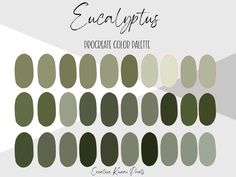 the color scheme for eucalyptusplies is shown in shades of green, brown and white