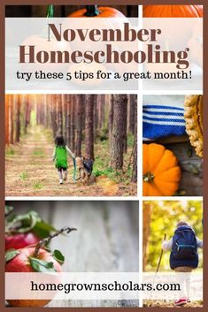 the cover of november homeschooling, with pictures of pumpkins and trees