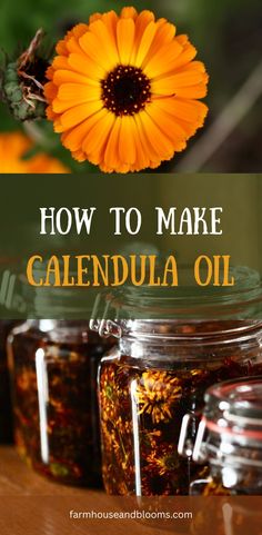 two pictures, one of a calendula flower, and one of calendula flowers infusing in oil Healing Tea Recipes, Calendula Tea, Herb Tinctures, Arnica Oil, Calendula Flowers, Healing Tea