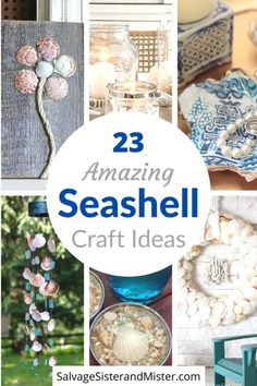 some sea shells are on display in this collage with the words 25 amazing seashell craft ideas