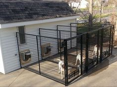 two dogs are in their kennels outside the house, and one dog is inside the cage