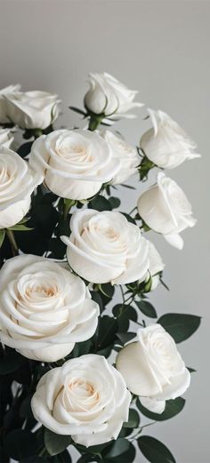 a bunch of white roses with green leaves