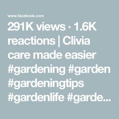 the text reads, 21k views 1 6k reactions clvia care made easier gardening garden