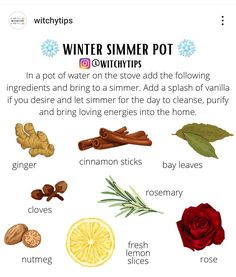 an info sheet describing the different types of winter spices and how to use them for cooking