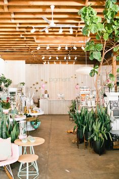 a room filled with lots of potted plants next to tables and chairs in front of a wooden ceiling