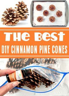 the best diy cinnamon pine cones