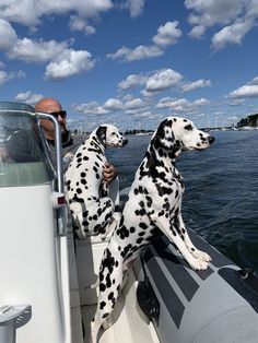 two dalmatian dogs sitting on the back of a boat with their owner looking out over the water