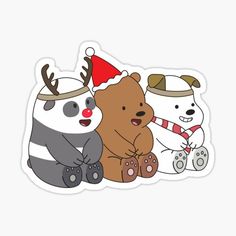 two bears and a bear wearing christmas hats