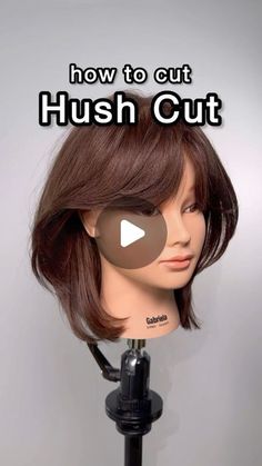 Gilad | Hair Video Education on Instagram: "Hush Cut ✂️ This step-by-step tutorial shows how to cut a Hush Cut on short hair.  We create curtain bangs and use a ghost layering technique to create lots of air layers with whispy ends.  Have your clients been asking you for Hush cuts yet?   This result is softer vs a more structured Wolfcut.  Slice in to the hair to remove blunt lines for that perfect whispy layer look.   Styled with @kenraprofessional Luxe Shine Oil and Texture Spray 🔥   #haircut #hushcut #wolfcut #haircuttutorial #haircutting #hairtutorial #nychairstylist #hairtutorials #haircuttransformation #haireducation" Wolfcut Hair With Curtain Bangs, Hush Cut On Short Hair, Short Hair Cut Layer, How To Have Bangs, Hush Cut For Short Hair, Hush Short Haircut, Hair Inspo Short Hairstyles, Hush Haircut Medium Length, Hushcut Haircut Short