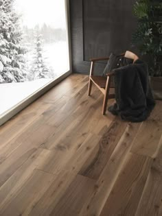 a chair sitting in front of a window on top of a wooden floor next to a tree