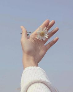 a person's hand holding a flower in the air