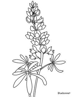 a black and white drawing of some flowers