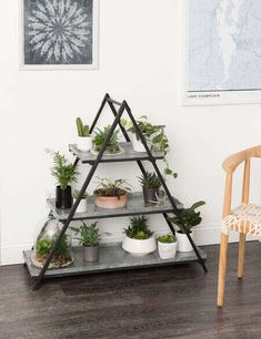 a shelf filled with potted plants next to a chair