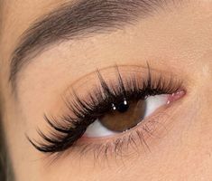 Eyelash Extensions Wispy Cat Eye, Cat Eyes Lashes Extension, Lashes Inspo Cat Eye, 3d Lash Extensions Cat Eye, Sharp Cat Eye Lash Extensions, Wispy Eyelashes, Lashes Extensions