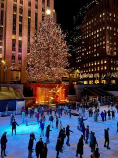 people skating on an ice rink in front of a large christmas tree and lit up buildings