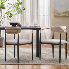 two chairs sitting at a table in front of a potted plant on top of a rug