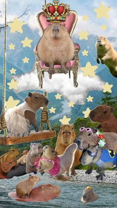 a collage of various animals with stars and clouds in the sky above them, including hamsters