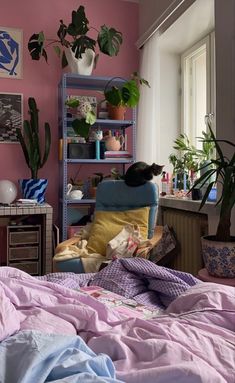 a cat sitting on top of a bed in a room with pink walls and lots of plants