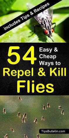 the cover of 54 easy ways to repel and kill flies