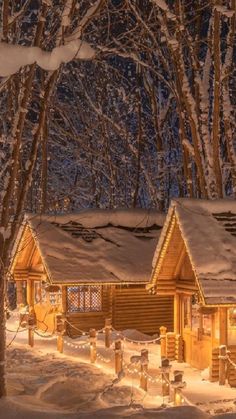 a cabin in the woods is lit up with christmas lights and snow on the ground