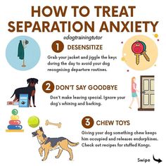 Dogs have trouble regulating their body temperature. They rely on panting to cool down, so sleeping through a hot night can be demanding. Dogs are more at risk of overheating, heatstroke, and vomiting. Dog Whining, Dog Behaviorist, Service Dog Training, Dog Training Advice, Dog Language, Dog Training Videos, Training Your Puppy, Pet Hacks