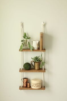 three wooden shelves with plants and other items on them