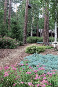 the garden is full of colorful flowers and trees