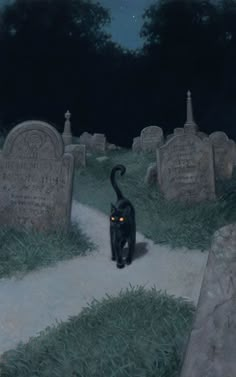 a black cat walking through a cemetery at night