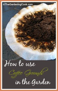 a bowl filled with dirt sitting on top of a white paper plate next to a black tile floor