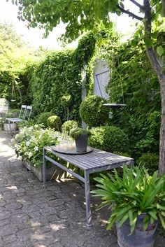 a table and some chairs in the middle of a garden with potted plants on it