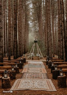 an outdoor ceremony setup in the woods with wooden benches and rugs on the ground