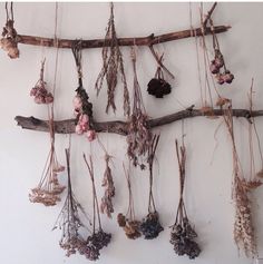 dried flowers hang on a branch in front of a wall hanging from it's side