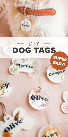 DIY Dog & Pet Tags Pet Tags Diy, Dog Tags Diy, Liquid Sculpey, Tatoo Dog, Kat Diy, Chat Diy, Diy Dog Collar, Dog Business, Dog Crafts