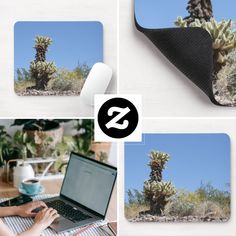 four photos of a laptop with a cactus on the screen and mouse pad next to it