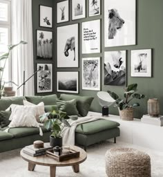 a living room with green walls and pictures on the wall above the couch, along with a coffee table