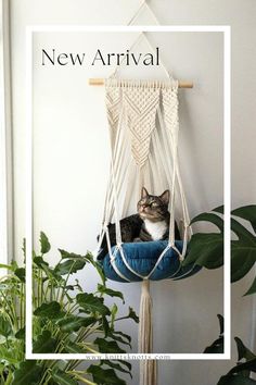 a cat is sitting in a hammock hanging from a wooden pole next to a potted plant