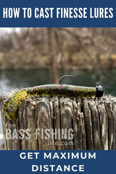 a fishing lure sitting on top of a wooden post