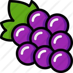 a bunch of grapes with green leaves on the top and purple berries on the bottom