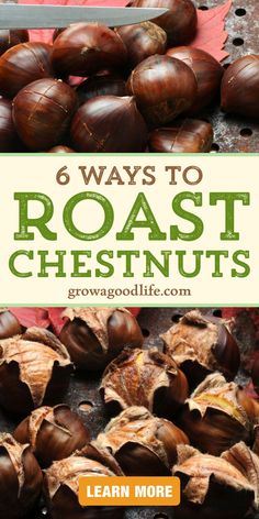 images of cutting an X in chestnuts and roasted chestnuts with text overlay that reads 6 ways to roast chestnuts learn more at grow a good life dot com How Do You Roast Chestnuts In The Oven, How To Roast Chestnuts On Open Fire, Roasted Chestnuts Recipes Fire, Cooking Chestnuts In The Oven, Roasting Chestnuts On An Open Fire, Roast Chestnuts In Oven, Chestnuts Roasting On An Open Fire