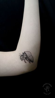 Crab Tattoo on arm from Sea tattoo flash by Natasha Tsozik Sea Crab Tattoo, Minimalistic Crab Tattoo, Sea Creature Tattoos For Women, Hermit Crab Tattoo Design, Matching Crab Tattoos, Traditional Hermit Crab Tattoo, Marine Animal Tattoos For Women, Hermit Crab Tattoo Ideas, Sand Crab Tattoo