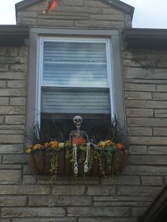 a skeleton sitting in a flower box on the side of a brick building next to a window