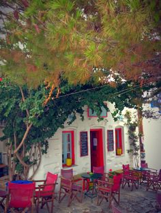 an outdoor dining area with red chairs and tables under a large green leafy tree