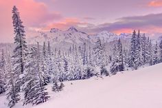 a snow covered mountain with trees in the foreground and pink clouds in the background