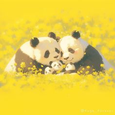 two panda bears cuddle in the middle of a field of yellow wildflowers