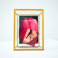 a framed photograph of a woman's head with a pink turban on it